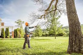 Best Arborist Consultation Services  in Malaga, NJ